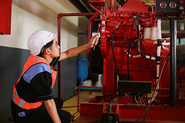 Factory sprinkler inspection