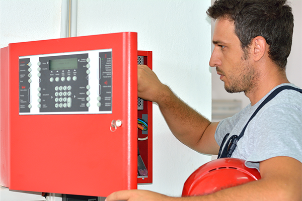 Alarm panel inspection